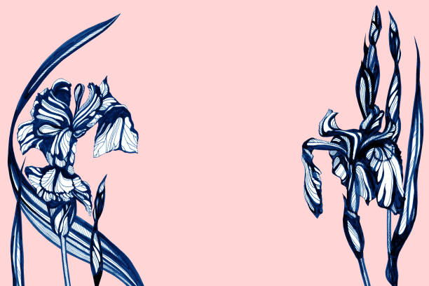 istock Iris flowers Hand drawn ink illustration. Wallpaper or fabric design. 995529938