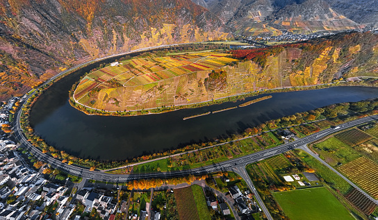 Aerial of Vineyards in Mosel loop near Bremm at autumn, Rhineland-Palatinate, Germany
