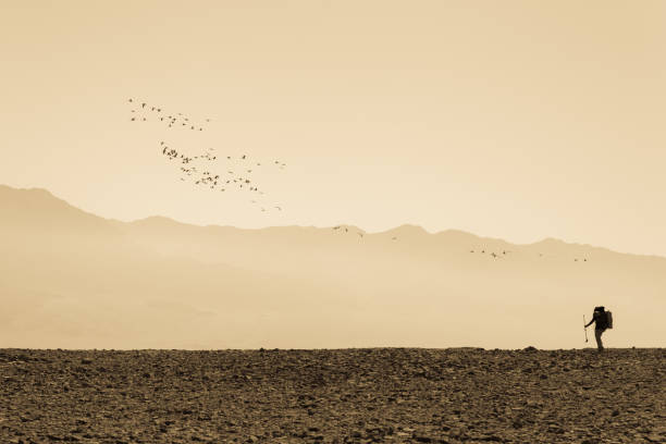 istock Storks flock birds above desert landscape. 995534326