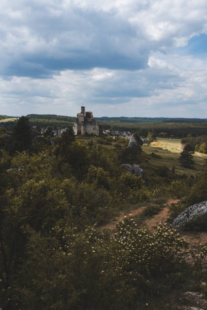 istock Old ruined castle on beautiful landscape 995535384