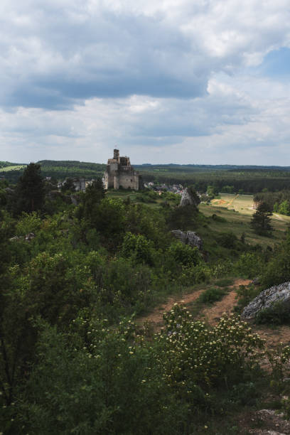 istock Old ruined castle on beautiful landscape 995535754