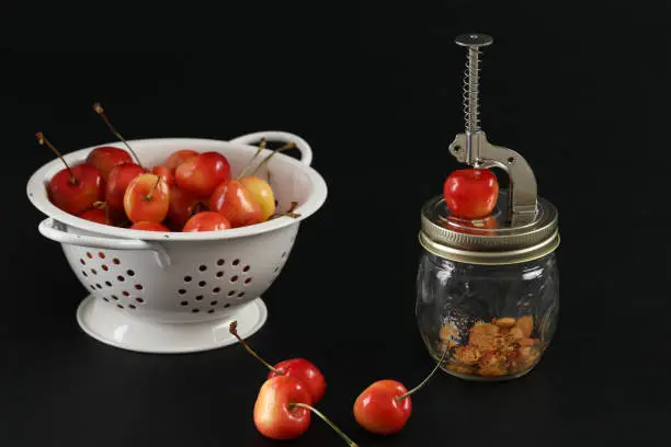 A close up horizontal photograph of a white colander full of Rainier cherries, a cherry pitter with some pits in it and three cherries laying in the foreground. Isolated on black.