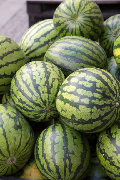 istock Box of Green Water Melon, Copenhagen 995555974