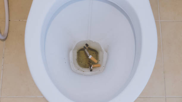 istock Dirty  toilet bowl with cigarette 995557396