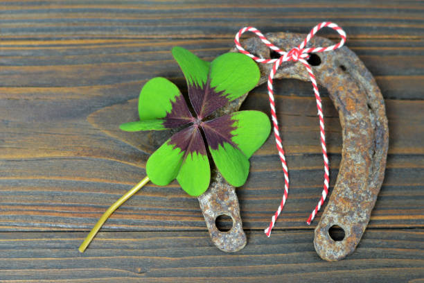 istock Old horseshoe and lucky clover 995567114