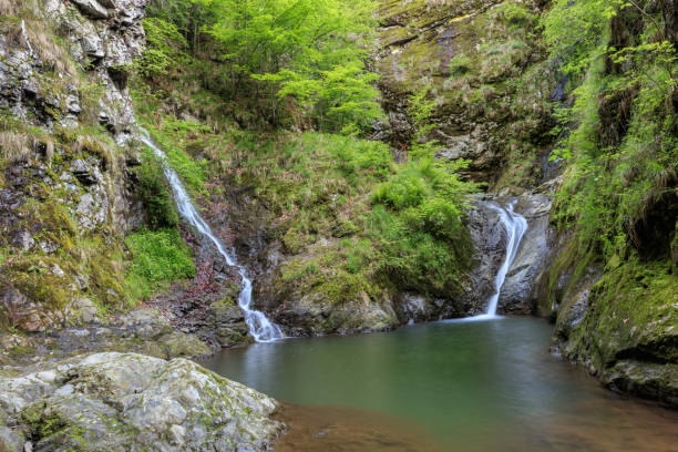 istock Stan Gorge's Valley in Romania 995569830