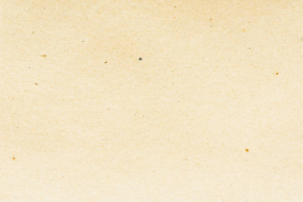 Texture of beige organic paper for artwork. Modern background, backdrop, substrate, composition use with copy space