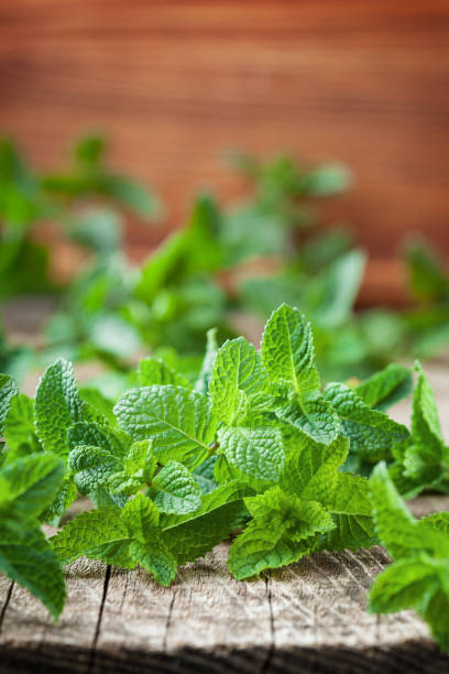 istock Fresh mint leaves on wooden background. 995576634