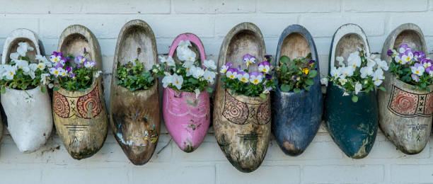 istock Old wooden clogs with blooming flowers 995582446
