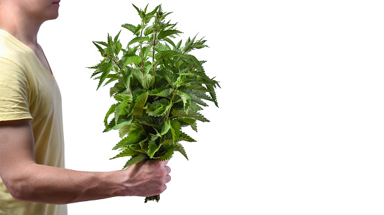Idea - breakup of relationships and divorce. Young man with a bunch of nettle in his hand, isolated on white on white background