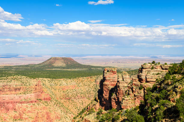 istock amazing Grand Canyon from a viewpoint 995589454