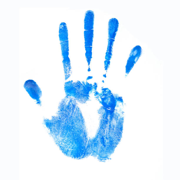 istock Ink blue human handprint. Palm on a white background in technology concept. No effects used. 995595356