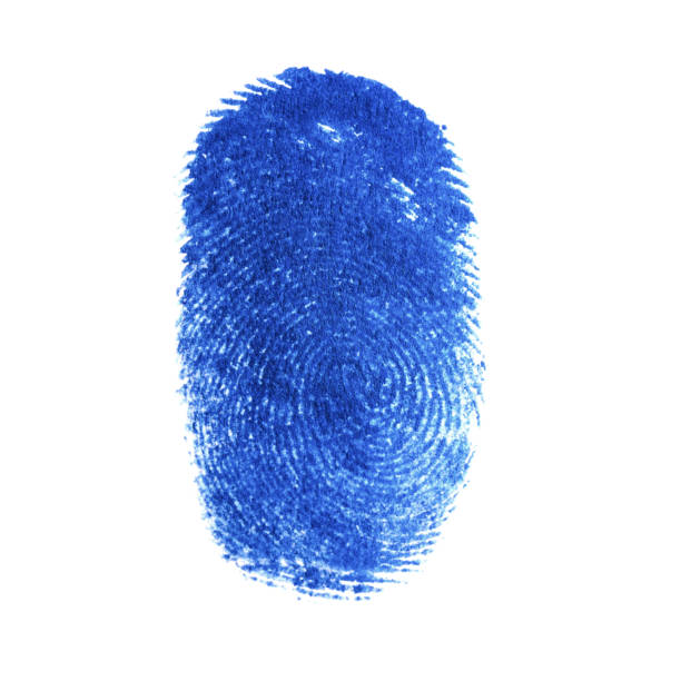 インクの技術コンセプトの白い背景に分離された青い指紋識別記号。使用は影響なし。 - fingerprint blue human finger fingermark ストックフォトと画像
