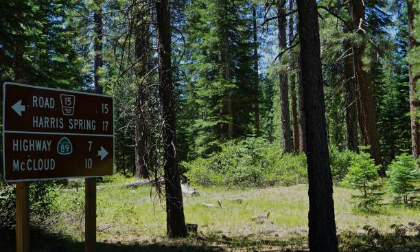istock Mt. Shasta Backcountry Sign 995610080