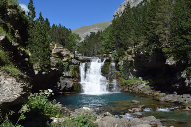 istock waterfall in the middle of the forest 995613700