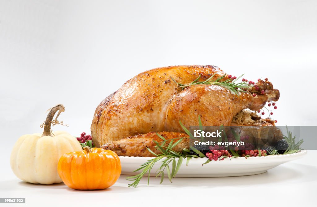 Thanksgiving Turkey on White Thanksgiving pepper roasted turkey garnished with blackberry, pink peppercorn, and mini pumpkins on white."n Turkey Meat Stock Photo