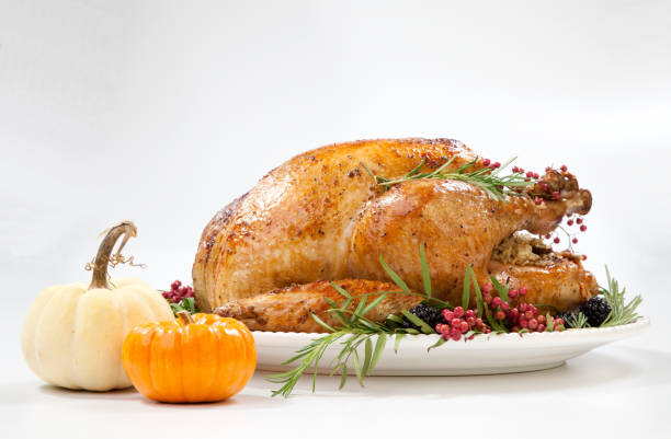 Thanksgiving Turkey on White stock photo