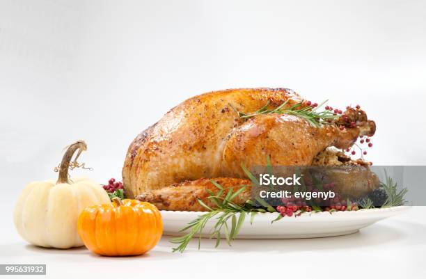 Thanksgiving Turkey On White Stock Photo - Download Image Now - Turkey Meat, Thanksgiving - Holiday, Dinner