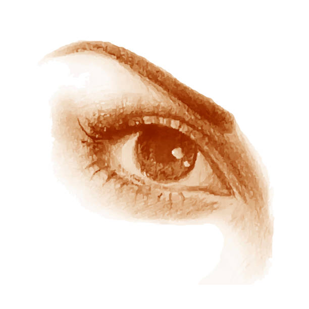 istock the eyes of a beautiful woman 995684836