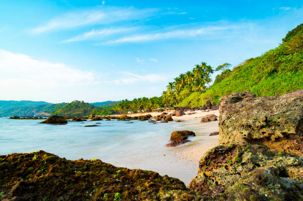 istock Long exposure. Beautiful and relaxing beach flanked by green palm trees at sunset. Varkala, Kerala, India. 995716894