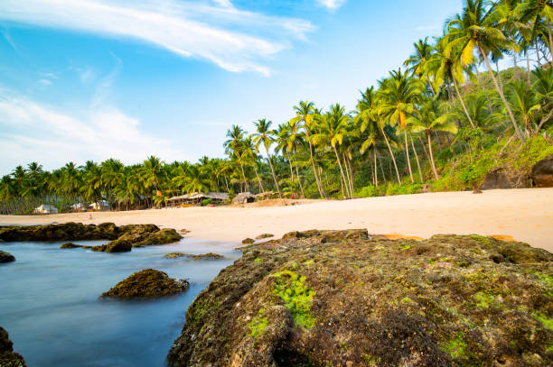 istock Long exposure. Beautiful and relaxing beach flanked by green palm trees at sunset. Varkala, Kerala, India. 995716940
