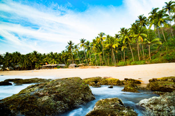 istock Long exposure. Beautiful and relaxing beach flanked by green palm trees at sunset. Varkala, Kerala, India. 995716976