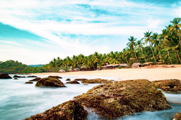 istock Long exposure. Beautiful and relaxing beach flanked by green palm trees at sunset. Varkala, Kerala, India. 995716980