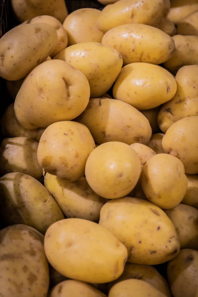 istock Lots of Yellow Potatoes in a Pile 995719944