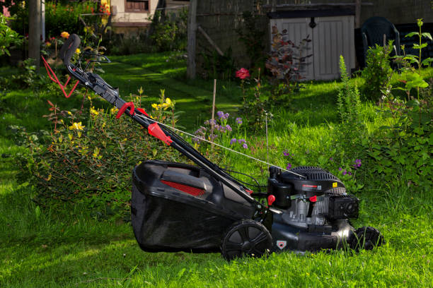 istock A lawn mower with a four-stroke petrol engine 995722346