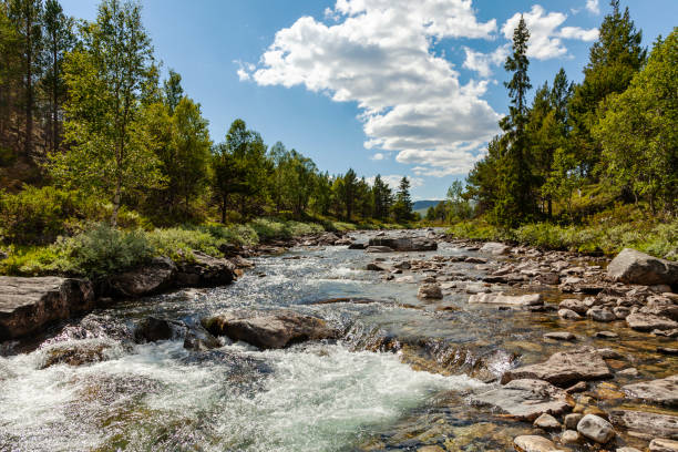 istock Beautiful landscape in the mountains  with river in summer 995744852
