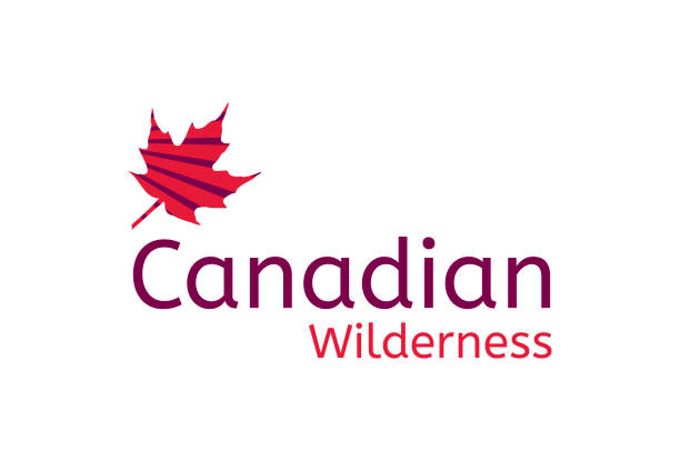 ilustrações de stock, clip art, desenhos animados e ícones de maple leaf logo design - flag canada canadian flag maple leaf