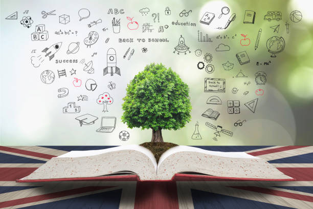 Tree of knowledge growing on textbook with doodle on UK Great Britian flag pattern wood table for English language literacy concept