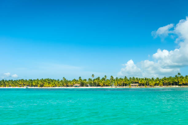 The Caribbean ocean and the native beach of the island Saona in the Dominican Republic with blue sky and a few white clouds.