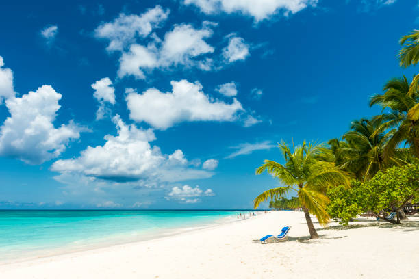 istock Beautiful beach and the Caribbean ocean 995758010