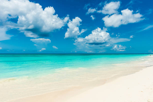 istock Beautiful beach and the Caribbean ocean 995758024