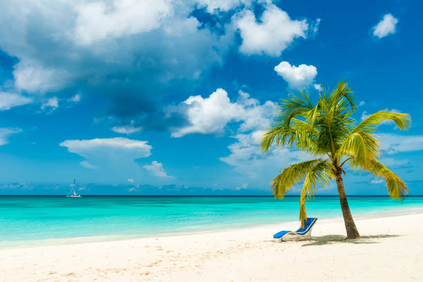 The Caribbean ocean and the beach of the island Saona in the Dominican Republic with a dramatic blue sky. There is one deck chair under a palm tree.