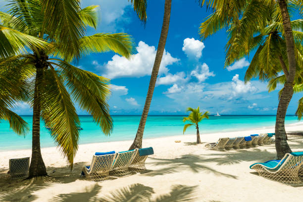 istock Beautiful beach and the Caribbean ocean 995758118