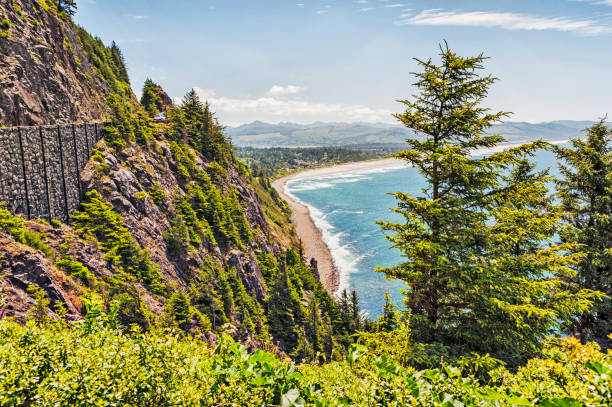 istock Oswald West State Park Cannon Beach Oregon 995760054