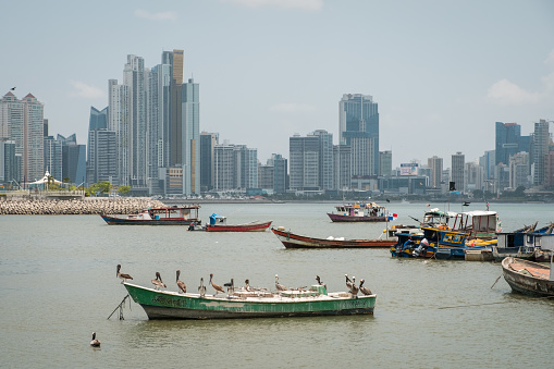 Panam City, Panama - march 2018: Fishing boats at commercial fish market harbour with skyline background