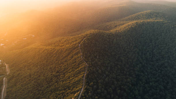 istock Tree Covered Hills in Great Ocean Road National Park, Australia at Sunset. 995779954