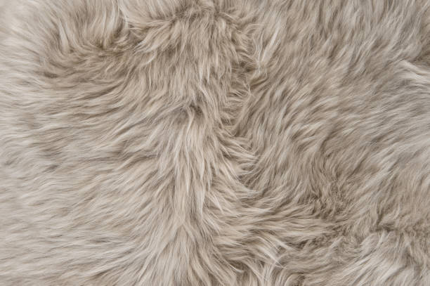 istock Natural sheepskin rug background Sheep fur texture 995786800
