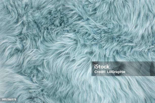 Blue Sheepskin Rug Background Sheep Fur Stock Photo - Download Image Now - Fur, Winter, Abstract