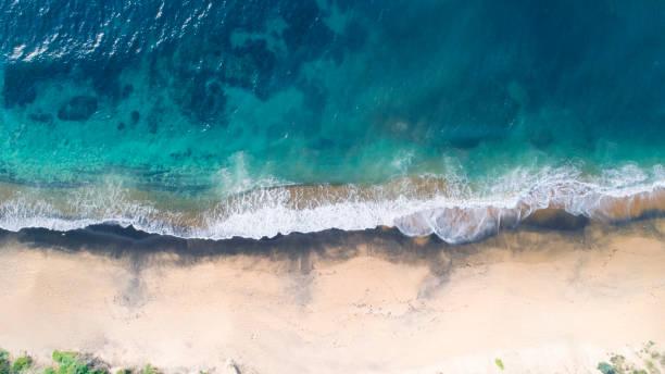 istock Aerial View of Waves and Beach Landscape 995800314