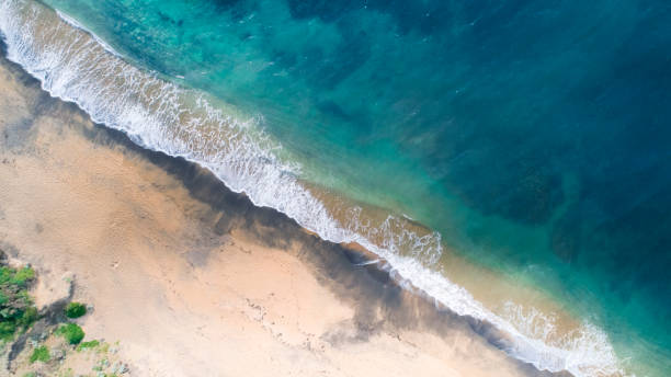 istock Aerial View of Waves and Beach Landscape 995800666