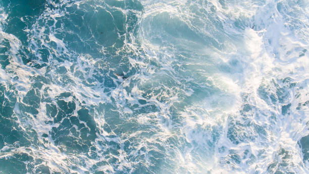 istock Aerial View of Waves and Beach Landscape 995801030