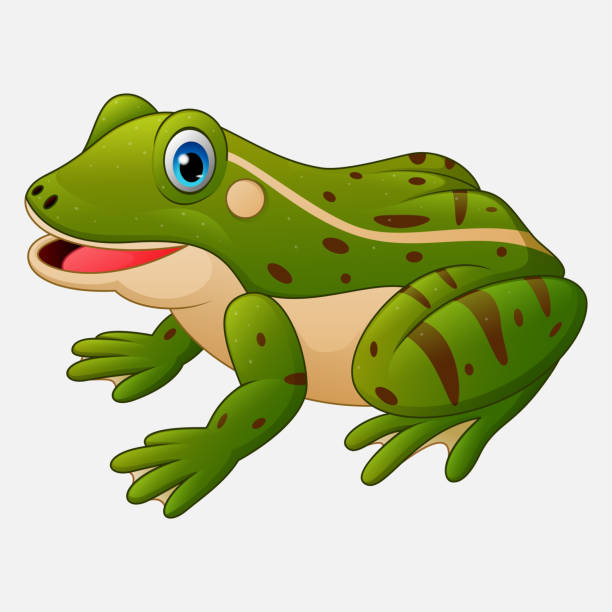 말풍선이 있는 귀여운 개구리 - frog jumping pond water lily stock illustrations
