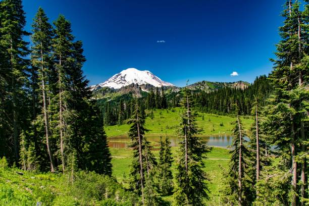 istock Tipso Lake and Mt Rainer 995815346