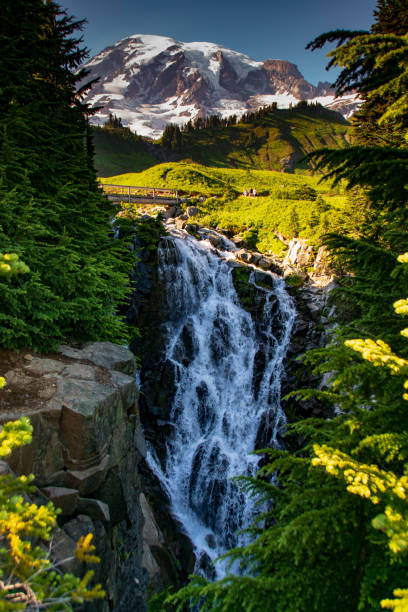 istock Myrtle Falls on Edith Creek, with Mt Rainer 995815472