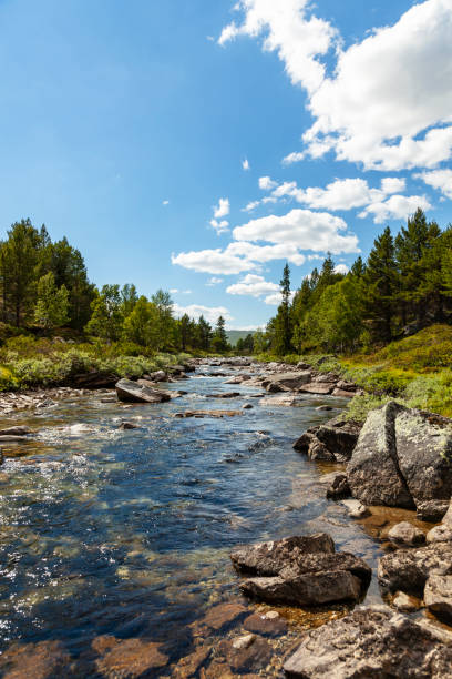 istock Beautiful landscape in the mountains  with river in summer 995840626