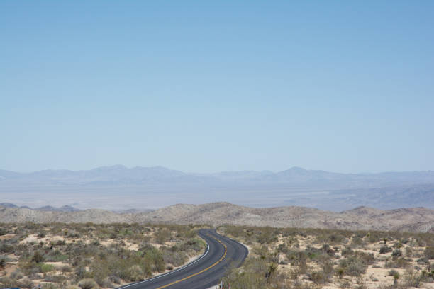 Joshua Tree National Park - Clear Day